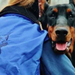 How to Teach a Dog